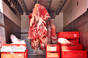 1765254130_6937a3f2cf820