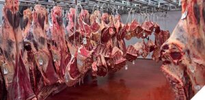 wholesale-depot-body-pic